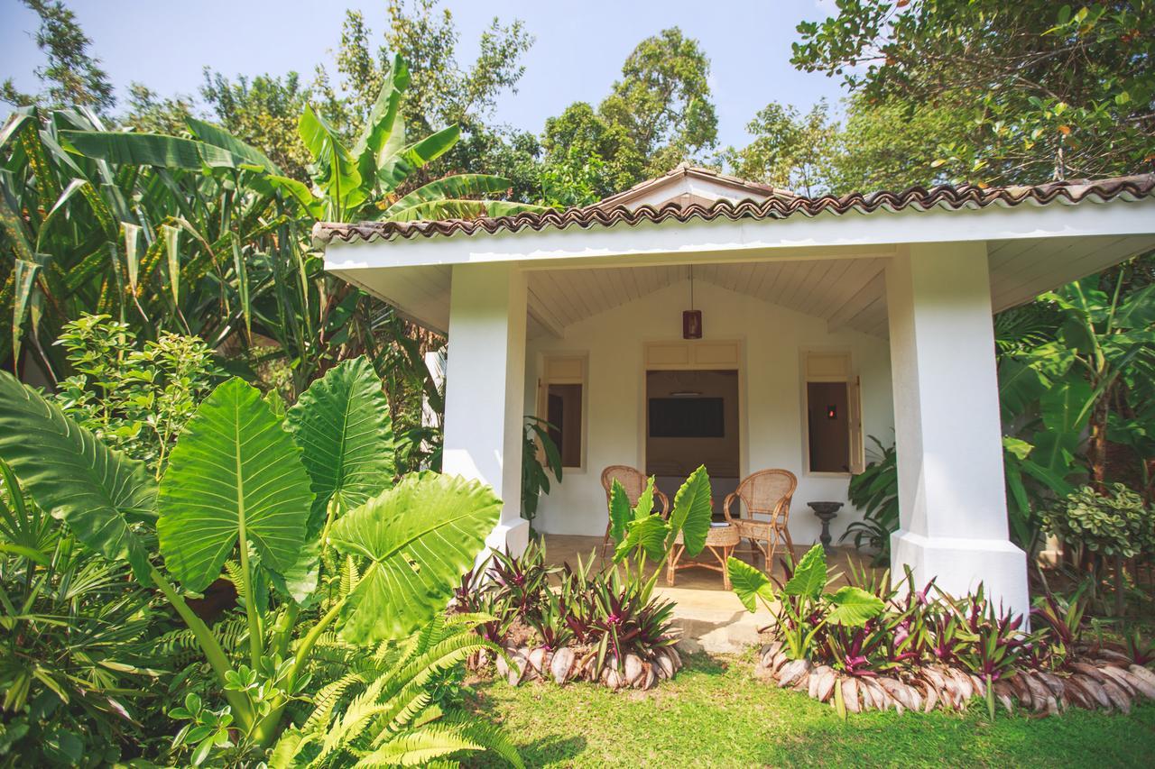 Karmel Villa Thalduwa Island - Five Bedroom Luxury Villa With Private Pool 阿杭格默 外观 照片